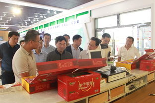 国家发改委来我县调研苹果产业 生产创新与电商融合助力市场变革